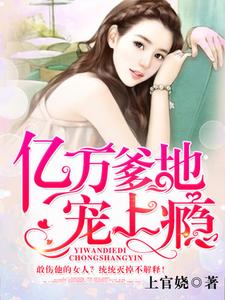《苏洛洛洛洛龙氏集团太子爷》小说