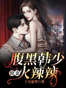 《云清袅阮奶奶苏庭韩湛》小说