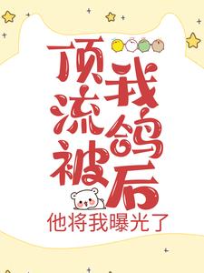 《宋栖姜舒结夏黄老板》小说