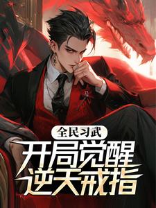 《叶辰王英》小说