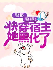 《沐颜江城林一凡》小说