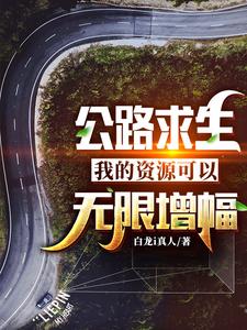 《北晨》小说