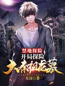《萧左苏酥朴九烨》小说