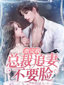 《墨震霆林清婉陆明轩》小说