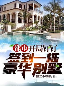 《都市：开局钉钉签到一栋豪华别墅》楚阳赵梦雨
