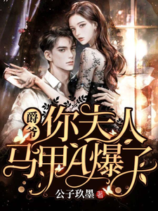 《苏黎》小说