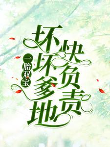 《一胎双宝：坏坏爹地快负责》沈茉染罗晶晶沈衡王桂兰