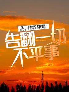 《张耀》小说