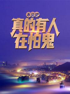 《林寻》小说