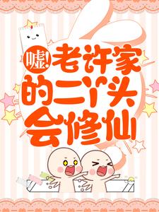 《许秋秋阎王许秋河张大夫》小说