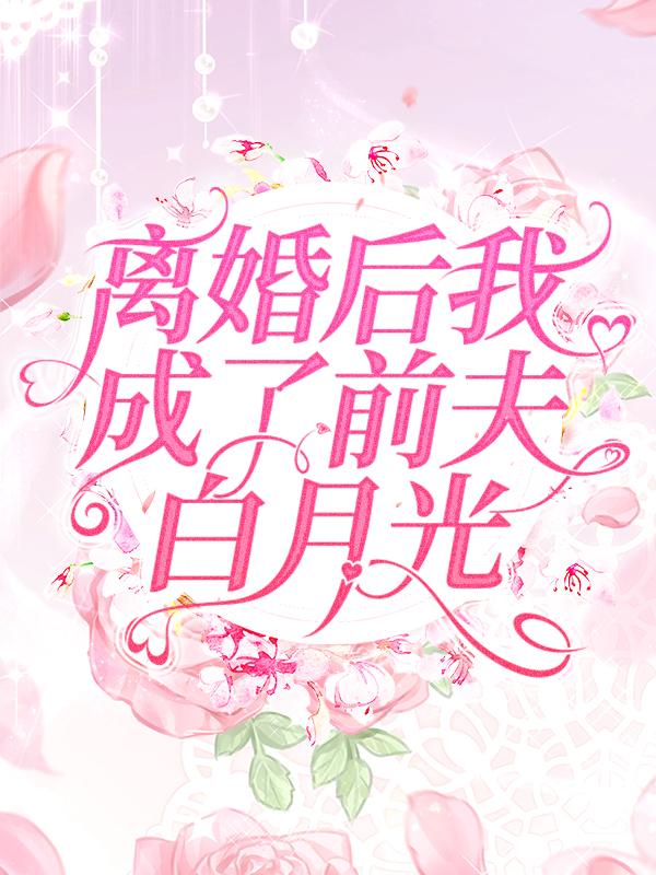 《离婚后我成了前夫白月光》宋婉清陆铭陶妍