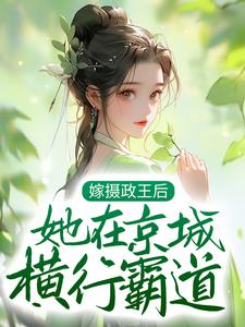 《言沐摄政王陆知行何将军》小说