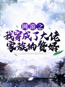 《网游之我穿成了大佬家族的赘婿》林度宁风雅王大爷地中海老头
