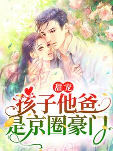 《甜宠：孩子他爸是京圈豪门蓝鸢陆宸》蓝鸢陆宸