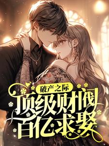《陆风晴霍怀岁李先生顾随星》小说