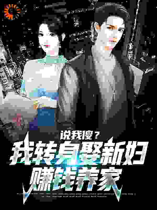 《何雨柱秦淮茹贾张氏易中海》小说