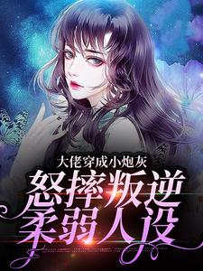 《岁一苏三儿苏淑云》小说