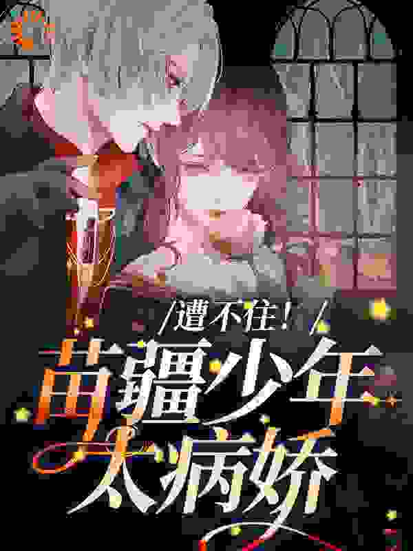 《青衔教授》小说
