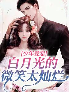 《盛承炀宋赫简希陈铭》小说