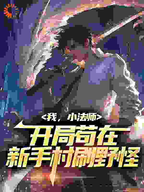 《我，小法师，开局苟在新手村刷野怪张磊》张磊
