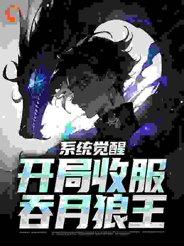 《许敬》小说
