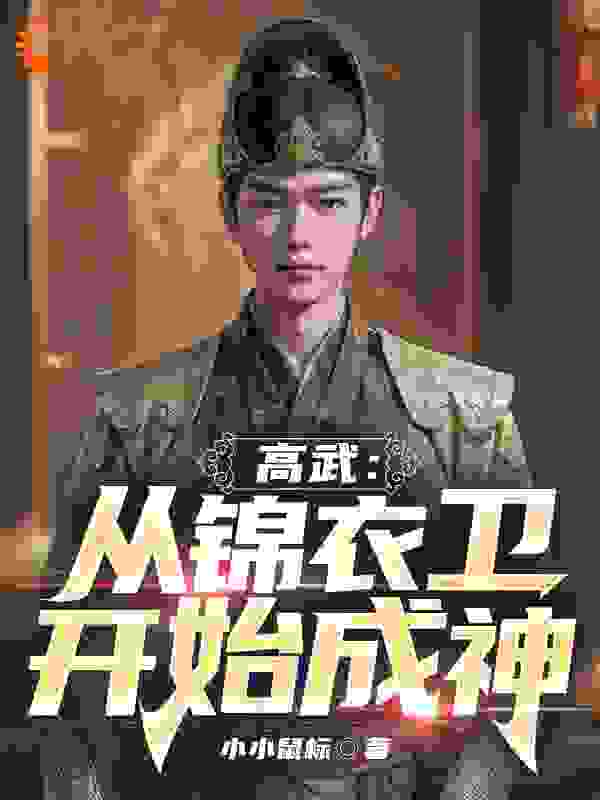 《慕容长风长公主知画翡翠》小说