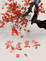 《武道皇子夏小苏夏极》夏小苏夏极