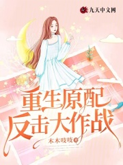 《重生原配反击大作战》周辰周山婆婆赵蕾