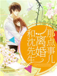 《和沈先生离婚那点事儿沈南言十一叶星辰莫晓静》沈南言十一叶星辰莫晓静