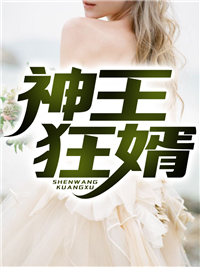 《叶然林梦溪安安张少宇》小说