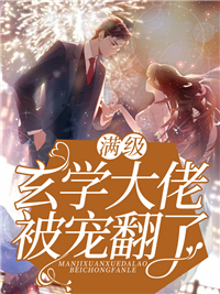 《白凰白凤白莲白灵》小说