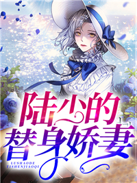 《陆怀瑾苏糖糖陆母陆父》小说