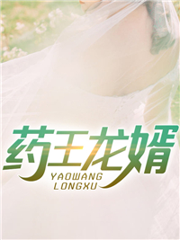 《叶辰唐华史丽唐国伟》小说