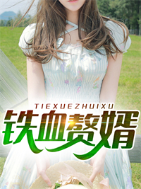 《铁血赘婿》萧辰吴梦梦赵玮夏若雪