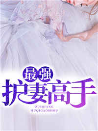 《最强护妻高手苏夜林月初》苏夜林月初