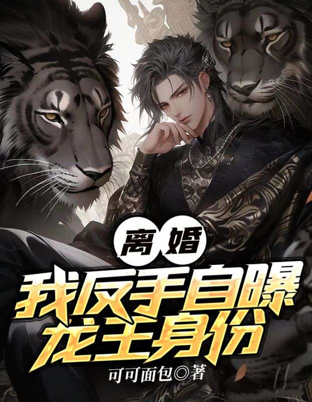 《叶枫沈若水孙丽王伟》小说
