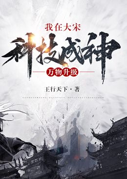 《林征林虎臣宋高宗赵构》小说