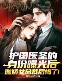 《龙晨苏灵儿叶悠然雷虎》小说