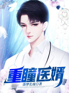 《重瞳医婿陈立秦婉梁栋陈雪》陈立秦婉梁栋陈雪