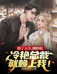 《瞎了五年，刚睁眼，冷艳总裁就赖上我！叶凡梅姐苏婕》叶凡梅姐苏婕