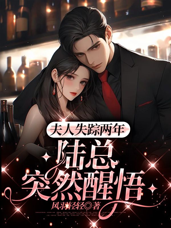 《夫人失踪两年，陆总突然醒悟》陆泽乔熏秦秘书乔时宴