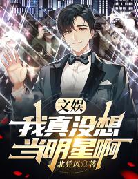 《文娱：我真没想当明星啊》林夕