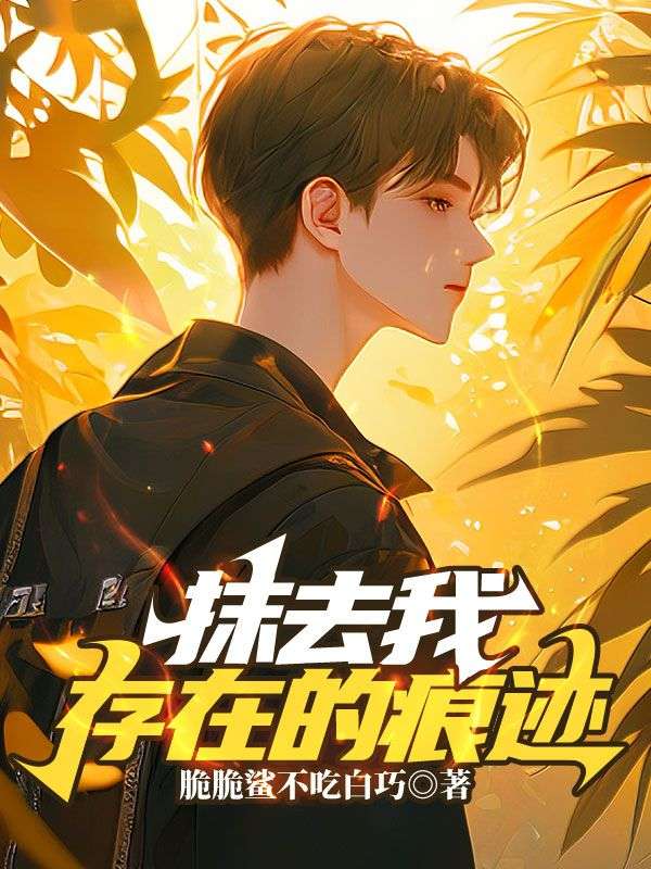 《抹去我存在的痕迹陈州沈清周玥老李》陈州沈清周玥老李